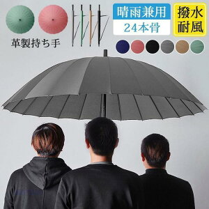 P JP 傫 Y fB[X Jp ՌՔM 24{ 3l\ v  rWlX ʋ hV̓ AEghA X|[cϐ