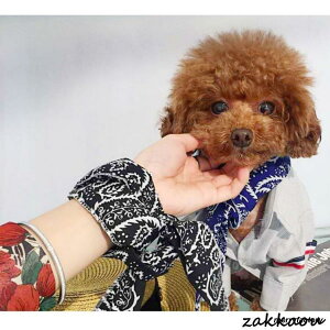   N[lbN 2Zbg N[o_i N[ oh lbNN[[ ˂  Ђ N[ MǑ΍ ΍ ۗ