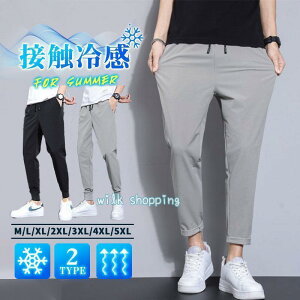 Stpc Y WK[pc ڐG⊴ ĂЂ Y ACXn 葬 e[p[hpc Y{ Ȃ