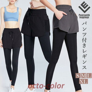 pct MX fB[X V[gpc ̌^ KEFA K X|[cEFA tBbglX g[jO {fB[VFCv EH[LO WMO