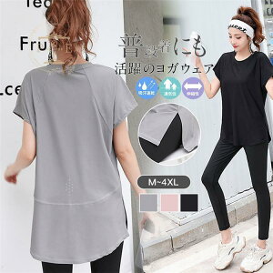 KEFA gbvX ^Ngbv fB[X zbgK  tBbglXEFA 킢  X|[c TVc z Xgb`