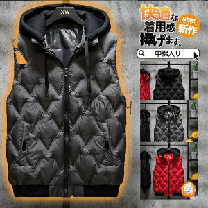 StEGA StxXg _ExXg Y ȃxXg h t[ht H~ ނ fB[X ƒ g  LeBO