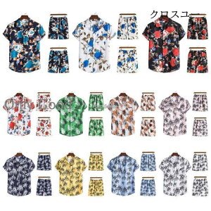 ZbgAbv Y ㉺Zbg W[W Vc n[tpc J݃Vc An ԕ 傫TCY 