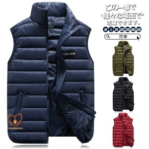 StEGA StxXg _ExXg Y H ~ h LeBO y ȃxXg ȃ_E WPbg WPbg _EWPbg