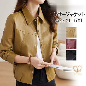 U[WPbg fB[X C_[XWPbg vW AE^[ u] h h    oCN H~  ؍