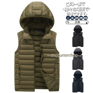 StEGA StxXg _ExXg Y H ~ h LeBO y ȃxXg ȃ_E WPbg WPbg _EWPbg