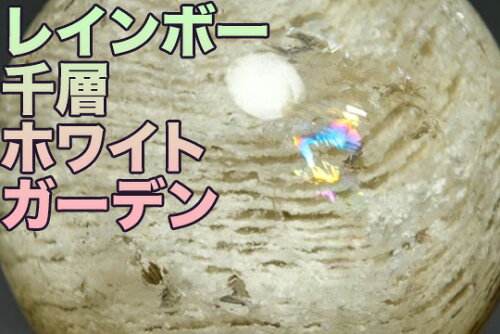 レインボー千層ホワイトガーデン