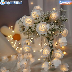 C~l[VCg  O \[[ dr USBd 5m10m 100LEDd T^ e[vCg lICg nEB茋 a  EFJXy[X LED v|[Y nf