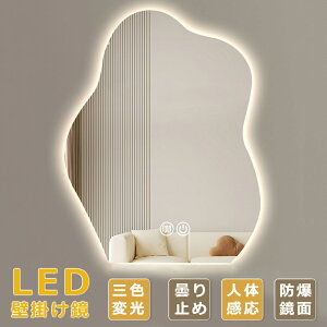 �Ǌ|���~���[ LED�����~���[ LED�~���[ �O�F�ό� ���i�K���� ����40�`70cm �c��60�`90cm ���ʑ� �X�}�[�g ���C�N�~���[ �Ȃݓd�� �h�����H �܂�~�� �p�� ������� ���σ~���[ �����C �h��U���H 