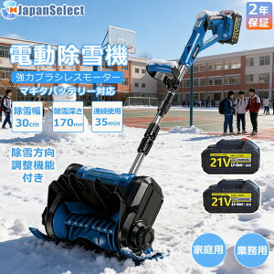 [ԗDǃVbv] d@ [d CX @ ƒp Ⴉ 莮 XRbv ᕝ30cm  dXRbv Vx Ⴉ@ ^ Vx  y ֗ Ⴉp X