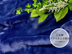 yӂӂȔGzANЂ|(щH)@F̃lCr[@ӂӂŉUPqlɂœK
