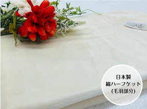 yD]zȃn[t(щH)@AC{[J[@Gǂqȕ₨qlɂœK