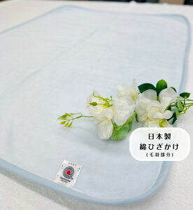 y߁zȂЂ|(щH) xr[u[@I[V[Yg@ɗDfނŎdグ܂xr[pѕzƂĂœK