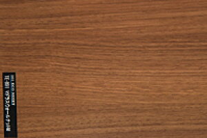 pltHƁ@plV[g@@PS-005@~fBAEH[ibgyz[Z^[EDIYفz