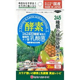 ミナミヘルシーフーズ　ミナミヘルシーフーズ　酵素プラス植物性ナノ型乳酸菌　31日分　62球【イージャパンモール】