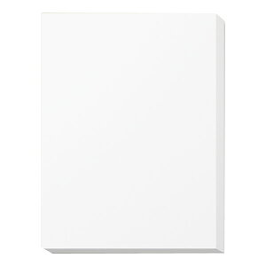 DX白無地箱 H?13 シーツ用 10束(100枚)【イージャパンモール】