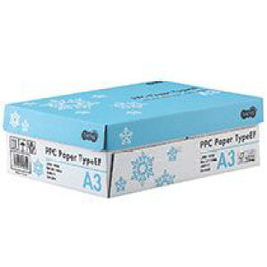 PPC@Paper@Type@EF@A3@1(1500:500×3)