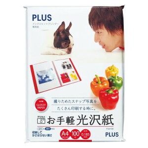 yzyl͂szy@liЁEƁjlzCNWFbgv^p@y򎆁@A4@1(100)