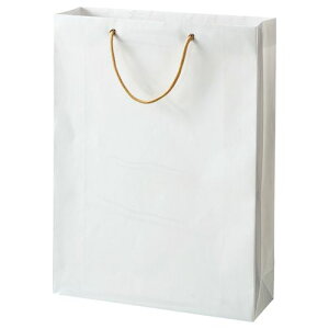 yzyl͂szy@liЁEƁjlzrj[Jo[t܁@L@R380×^e510×}`120mmn@1pbN(10)