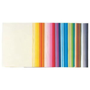 色画用紙八切 100枚サーモン【返品・交換・キャンセル不可】【イージャパンモール】