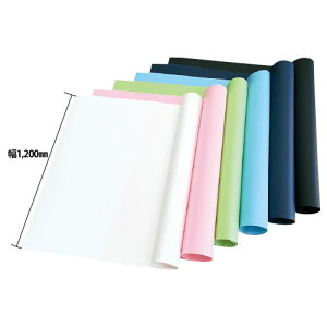 ロール画用紙10m巻みずいろ【返品・交換・キャンセル不可】【イージャパンモール】