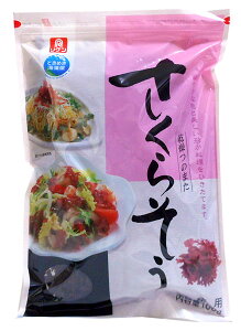 @ ̂܂炻@100gyC[Wp[z