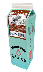 スミダ　辛口ジンジャーエールベース　1L【イージャパンモール】