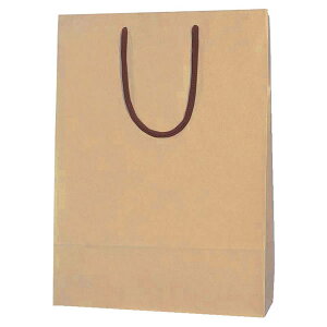 カラーチャームバッグ 2才 クラフト 1束(10枚)【イージャパンモール】