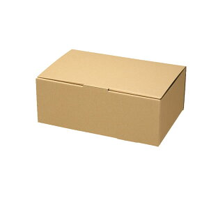 ナチュラルBOX ECO・Z−6 1束(10枚)【イージャパンモール】