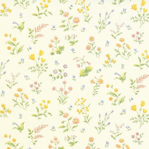 @S@IlXg@@5i500jyC[Wp[z