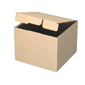 �i�`������BOX�@Z�|109�@5���i50���j�y�C�[�W���p�����[���z