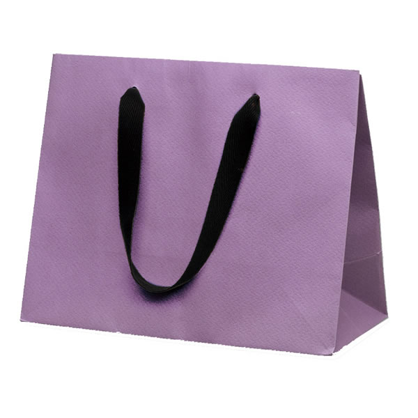 カラーバッグ 激安特価品 ２６－１２ 65％以上節約 紫 イージャパンモール ４０束 ２００枚