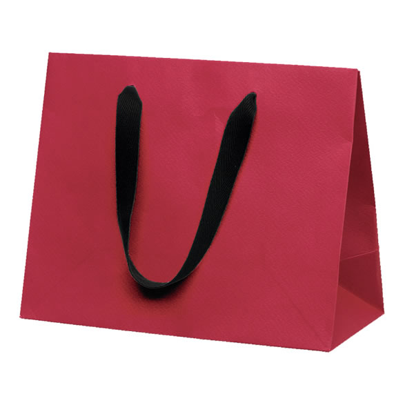 人気商品 国内送料無料 カラーバッグ ２６－１２ 赤 イージャパンモール ４０束 ２００枚