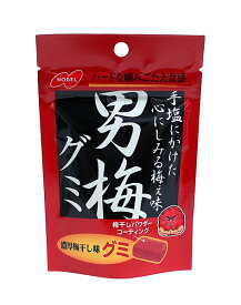 【送料無料】★まとめ買い★　ノーベル　男梅グミ　38g　×6個【イージャパンモール】