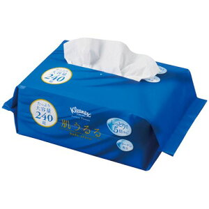 yzyl͂szy@liЁEƁjlzNlbNXeBV[@[V@@\tgpbN@240g/@1Zbg(24)