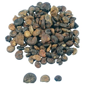 KpΕW{@AiCgyԕiEELZszyC[Wp[z