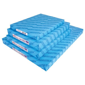 画用紙ゆきだるま9切中厚200枚9592【返品・交換・キャンセル不可】【イージャパンモール】