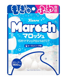 【送料無料】★まとめ買い★　カンロ　マロッシュヨーグルトソーダ味　50g　×6個【イージャパンモール】