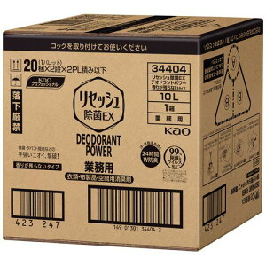 リセッシュ 除菌EX デオドラントパワー 香りが残らないタイプ 業務用 10L 1個