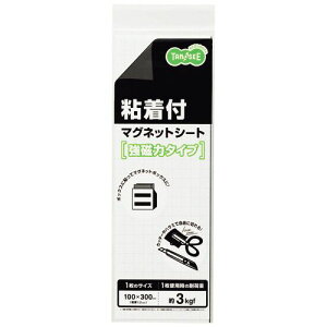 }OlbgStV[g@̓^Cv@@300×100×1.2mm@1Zbg(10)