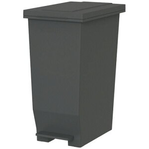 【送料無料】【個人宅届け不可】【法人(会社・企業)様限定】エバン 密閉ペダルペール 45L ブラック 1台【イージャパンモール】