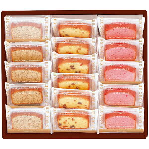 【送料無料】井桁堂 アーモンドリッチパウンド16個入 AP16 AP16【ギフト館】