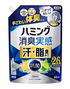 【送料無料】★まとめ買い★ 花王 ハミング消臭実感 汗・脂臭タイプ クリアシトラス 930ml ×6個【イージャパンモール】