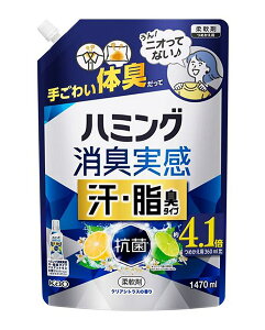 【送料無料】★まとめ買い★ 花王 ハミング消臭実感 汗・脂臭タイプ シトラス 1.47L ×6個【イージャパンモール】