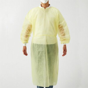 �K�[�h�t�@�C���K�E��PP�@�t���[�T�C�Y�@�C�G���[�@1���i10���j