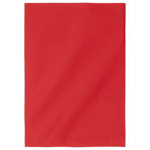 yzyl͂szy@liЁEƁjlznnMtgobO@bh@300×430mm@1pbNi20j