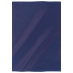 yzyl͂szy@liЁEƁjlznnMtgobO@lCr[@300×430mm@1pbNi20j