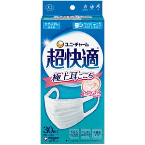 yzyl͂szy@liЁEƁjlzK}XN@ɏ㎨@zCg@ӂ@1i30j