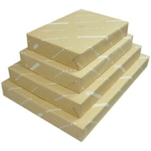 ĐPPCp100i500jB5yԕiEELZszyC[Wp[z