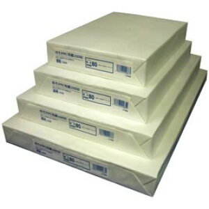 ĐPPCp100Wi500jB4yԕiEELZszyC[Wp[z